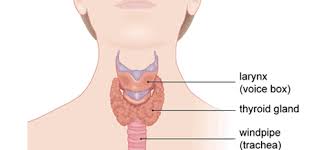 Thyroid cancer poses an immediate threat to your entire body if the gland is left in your neck. Thyroid Cancer Bridges Clinic