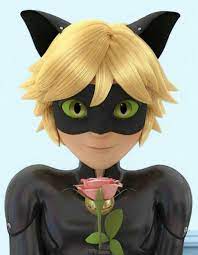 Chat Noir Miraculous Characters Friend Wallpaper Anime