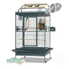 Take a look at all that play at the cage offers your ballplayers. Castell Play Parrot Cages Antique Color Parrots Fun