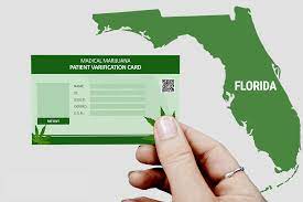 All natural md orlando located at 8803 futures dr. How To Get A Florida Medical Marijuana Card A Green Relief Orlando Medical Marijuana Doctor