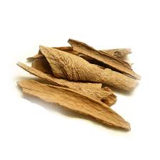 Image result for Cassia burttii