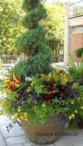 Unique By Design L Helen Weis Topf Und Kubelpflanzen Garten Pflanzen