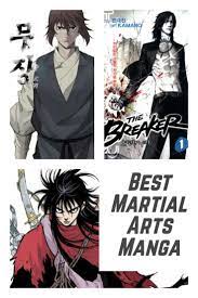 Best Martial Arts Manga And Manhwa | Martial arts manga, Best martial arts, Martial  arts books
