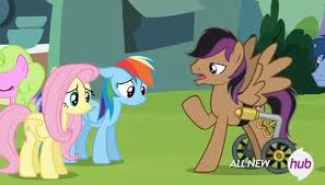 Pin By Heidi Bredeweg On Stellar Eclipse Pony My Little Pony Friendship Brony