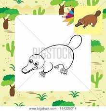 Here's a poster to print out for display or projects. Cartoon Illustration Vector Photo Free Trial Bigstock