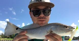 Catching Fish In The Middle Of The Day