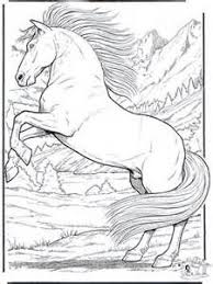 Wild Horse Coloring Pages Bing Images Horse Coloring Pages Horse Coloring Animal Coloring Pages
