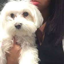 Don't know if anyone knows but John Makos passed away