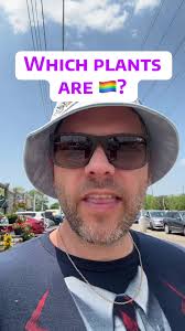 Discover LGBTQI+ Friendly Plants for Your Garden