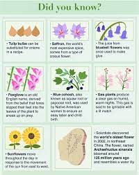 This conflict, known as the space race, saw the emergence of scientific discoveries and new technologies. Garden Plants Quiz Questions