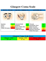 'we have never recommended using the gcs alone, either as a means of monitoring coma, or to assess the severity of brain damage or predict outcome.' Score Glasgow Coma Scale