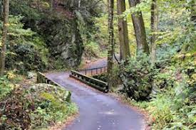 Roaring Fork Motor Nature Trail Nature Trail Great Smoky Mountains National Park Gatlinburg Tennessee Vacation