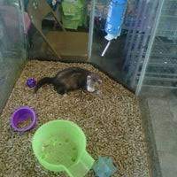 We did not find results for: Neighborhood Pet Market Pet Store In New Orleans