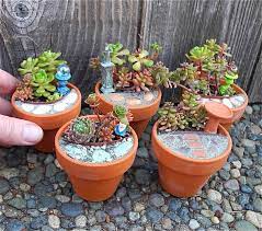 Maybe you would like to learn more about one of these? How To Create A Miniature Garden Mini Garden Miniature Garden Diy Fairy Garden Diy