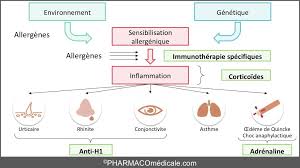 L'immunothérapie vise à mobiliser les défenses immunitaires du patient contre sa maladie. Allergie Medicaments Du Choc Les Points Essentiels