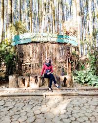 Pin Di Pewe Id