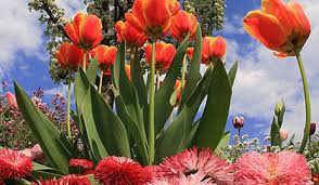 «ai prieten ce spun fetele: BÄieÅ£ilor Nu Le Plac Fetele Incepute Vor Ei Sa Le Descopere In Toate Privintele