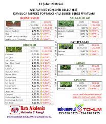 13 subat 2018 kumluca hal fiyatlari http www batiakdeniztv com kumluca hal fiyatlari s5 html salatalik lucca yat