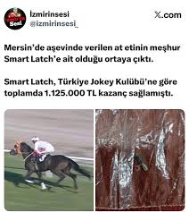 Mersin'de aşevinde verilen at etinin meşhur Smart Latch'e ait olduğu ortaya  çıktı. Smart Latch, Türkiye Jokey Kulübü'ne göre toplamda 1.125.000 TL  kazanç sağlamıştı.