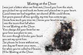 5d cat art diy diamond malování cat butterfly výšivka meow kit craft home decor gift (0) 21. Beautiful Black Cat Memorial Pet Loss Bereavement Rainbow Etsy In 2021 Cat Memorial Memorial Tattoo Cat Pet Quotes Cat