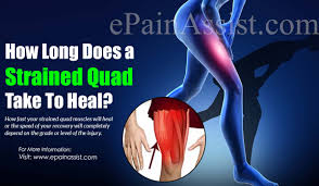 A pulled calf muscle causes sudden pain in the back of the lower leg. How Long Does A Strained Quad Take To Heal