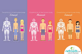 If you know your body type and would like to jump to it immediately, please click the appropriate link below we have identified nine different body types and two body type modifications: Do You Have An Ectomorph Body This Is How You Should Eat Exercise
