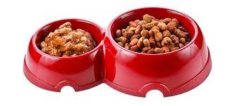 Wet Vs Dry Dog Food Dog Food Recipes Food Wet Dog Food