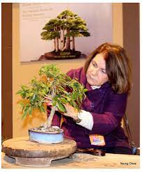 Bonsai nursery and studio offering classes from beginners to advanced открыть страницу «rosade bonsai» на facebook. Rosade Bonsai Studio Bonsai Blog National Bonsai Foundation