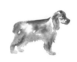 Cocker Spaniel Silhouette Spaniel Art Cocker Spaniel Dog Art
