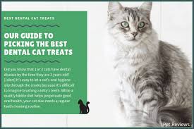In some cases, cat tooth extraction can be prevented. 7 Best Dental Cat Treats With Our 2021 Budget Friendly Pick