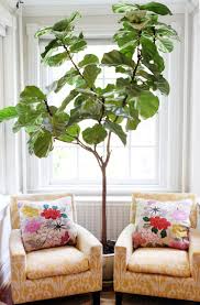 We did not find results for: 7 Favorite Houseplants That Love An East Facing Window
