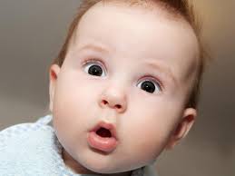 [Imagen: images?q=tbn:ANd9GcQ6FJCKvoL-nzQdOvWC36Z...H0qxKlvnoq]