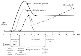 If a person contracts hiv, it takes time for the body to produce enough antibodies to be detected by an antibody test. Window Of Detection Of Hiv Markers Early In Hiv Infection And Window Download Scientific Diagram