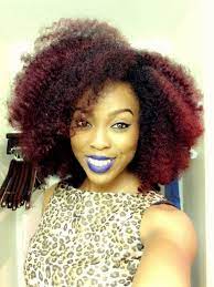 Alesha From Nashville 4a 4b Natural Hair Style Icon 4b Natural Hair Natural Hair Styles For Black Women Long Hair Girl
