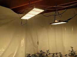 Mars hydro realized the cannabis growing community was moving towards quantum board led grow lights, so they designed an entry level light that can compete with quantum boards on every aspect: Seegree Best Led Quantum Boards Led Grow Lights Ceiling Lights Grow Lights