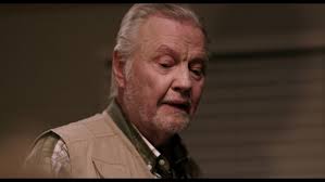 Aidan Cullen Archives