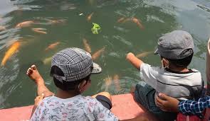 Jawaban singkat dari pertanyaan ini adalah dua kali. 3 Destinasi Wisata Kampung Ikan Di Pulau Jawa Okezone Travel