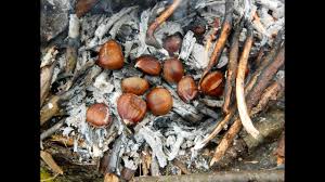 Esskastanien Roh Essbar Youtube