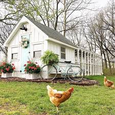 pin auf farm life chickens
