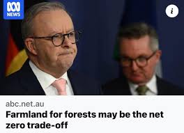 I cant believe you let them just destroy Mullet!