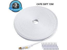 We were told that ethernet was going to be a thing of the past. Cat 8 Ethernet Cable Flat Internet Cable For Gaming High Speed Network Cord With Clips Rj45 Snagless Connector Computer Lan Wire For Ps4 Xbox Modem Router Switch Faster Than Cat7 Cat6 White 40ft 12m Newegg Com