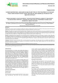 Image result for Lannea barteri