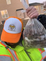 PSA🚨: The snow melted, and guess what's back? The poop. And LOTS of it.  Don't let your yard turn into a turd jungle—call us! We take sh*t  seriously.💩 Click “Get Quote” on
