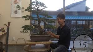 Check spelling or type a new query. Bonsai Progressions With Before And After Photos Bonsai Empire