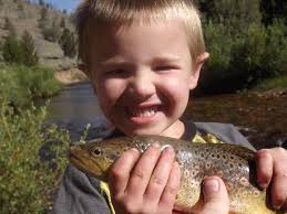 Fish Camp, Sierra national forest between the ears of Cheyenne