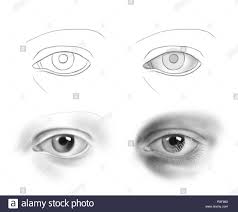 Handgezeichneten Menschlichen Auge Schritt Fur Schritt Anleitung Zeichnung Stockfotografie Alamy