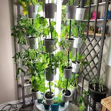 Vertical gardens are a great way to garden without taking up a lot of space. Nutritower Vertical Hydroponic Indoor Garden Nutritower Com