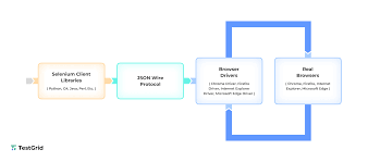 Understanding Selenium Testing: From Basics to Execution