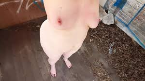 Brandiohnight milf boobs demo - stripchat porn videos 2025