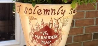 We did not find results for: Planticalmagic Archives Mugglenet